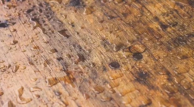 1551083906857914.jpg 微信圖片_20190225163321.jpg